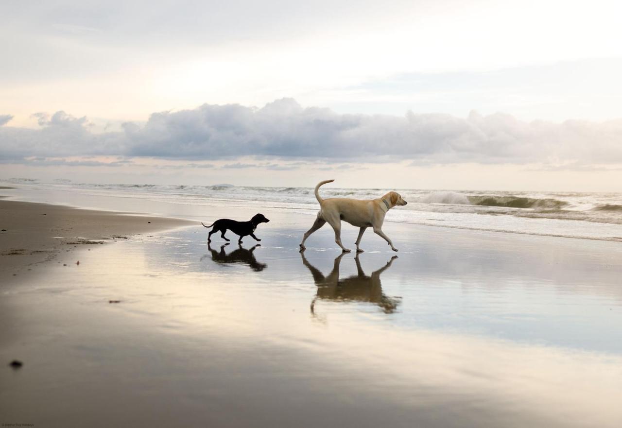 Azure Beach House ฟายลี ภายนอก รูปภาพ